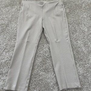 Chicos Tweed Ankle Pants Size 2.5